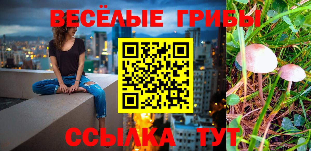 Галлюциногенные грибы мицелий  Вход с VPN  Кимры 